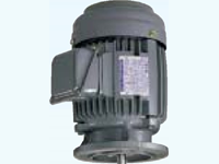 MOTOR BIẾN TẦN TECO MẶT BÍCH