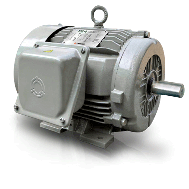MOTOR TATUNG CHÂN ĐẾ