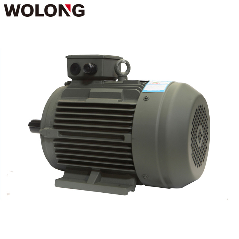 MOTOR WOLONG CHÂN ĐẾ