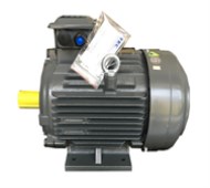 MOTOR TECO CHÂN ĐẾ IE1